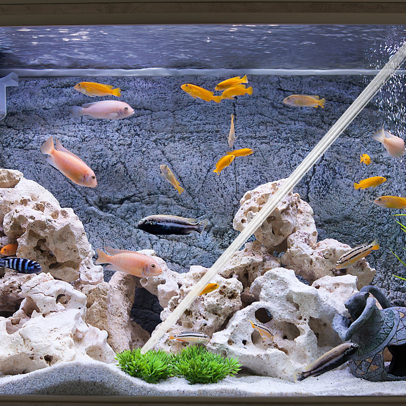 Marine Aquarium Youtube - 40Cm Long Coral Feeding Tube Premium