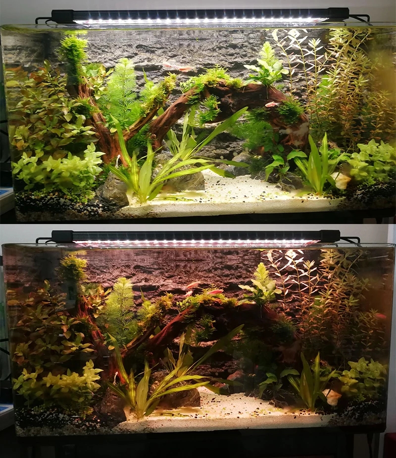 Marine Aquarium Hours - Aquarium LED Lighting 24/7 Hour Full