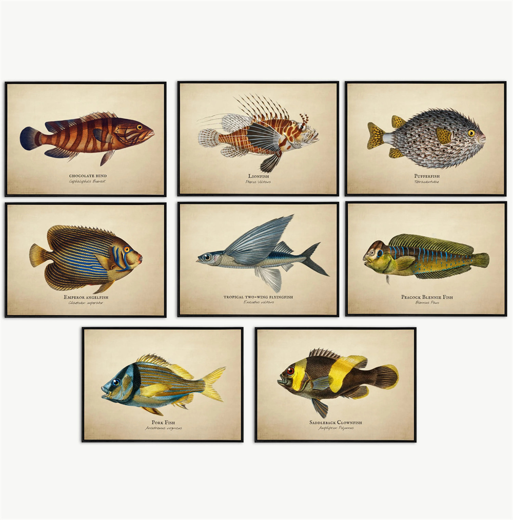 Vintage Pictures Tropical Fish – Marine Aquarium Home recenzja i cena