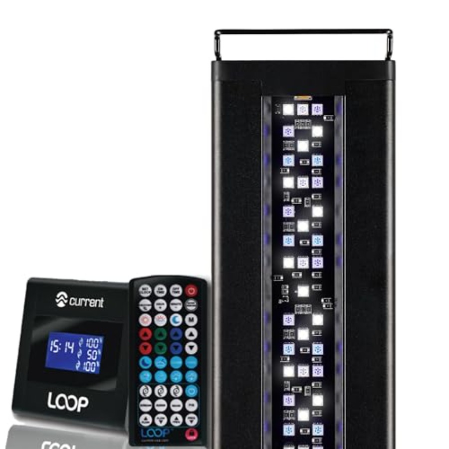 USA 24-36 Inch Orbit Marine LE – Marine Aquarium Hours recenzja i cena