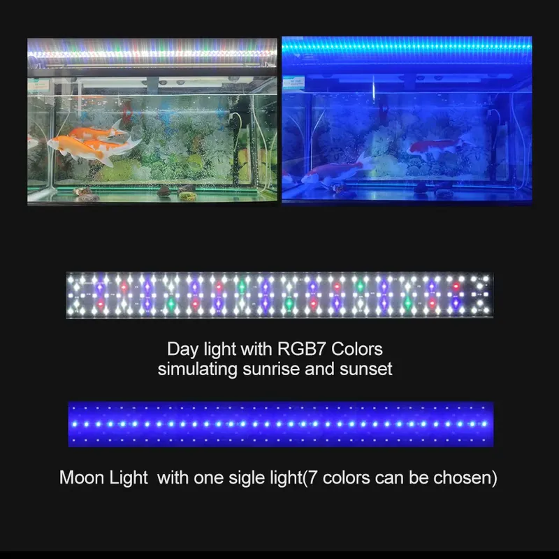 SIROKA High Quality IP68 Water – Marine Aquarium Hours recenzja i cena