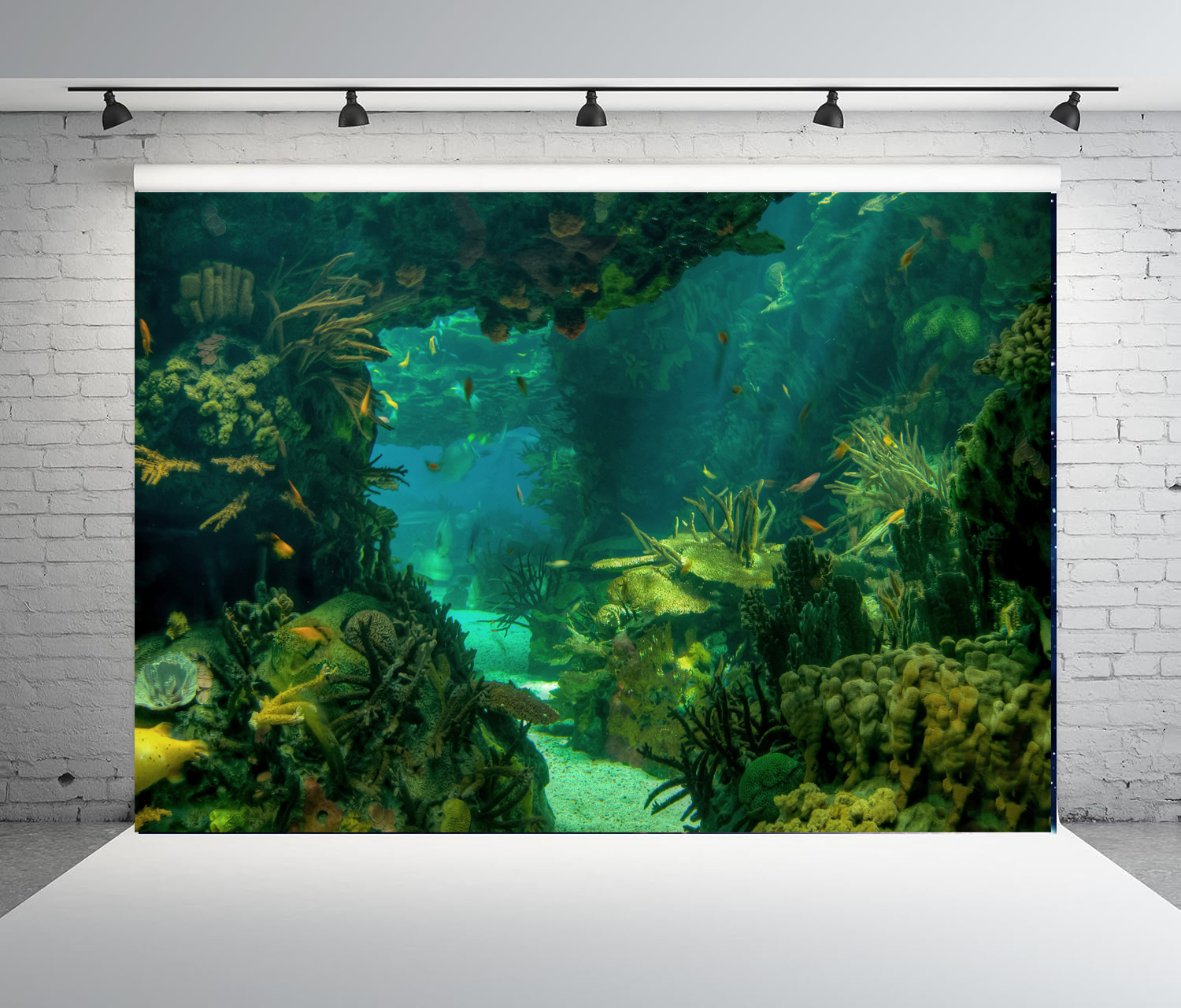 Under Sea Seabed World Photogr – Aquarium Marine World recenzja i cena