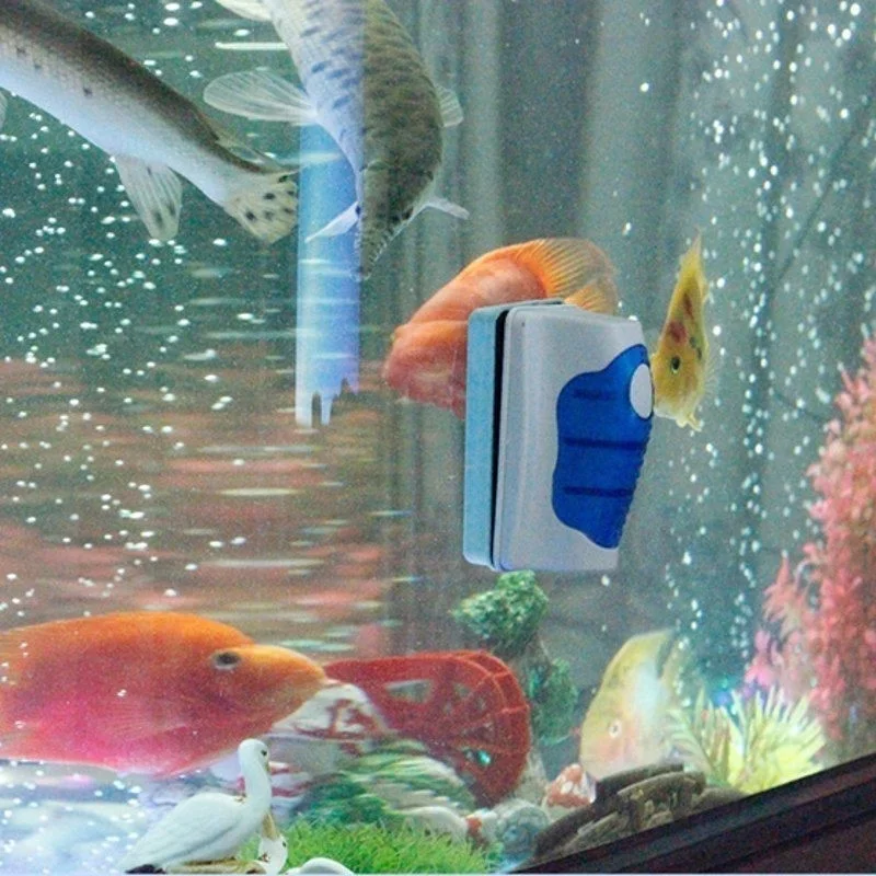 Fish Tank Glass Scraper Cleane – Marine Aquarium Glass Cleaner recenzja i cena