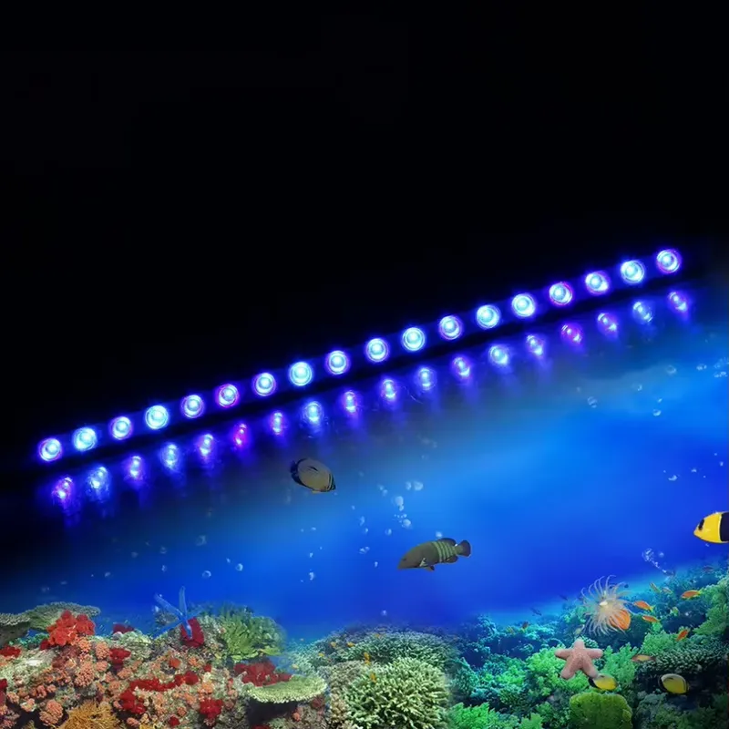 Dimmable Timing LED Aquarium L – Marine Aquarium Hours recenzja i cena