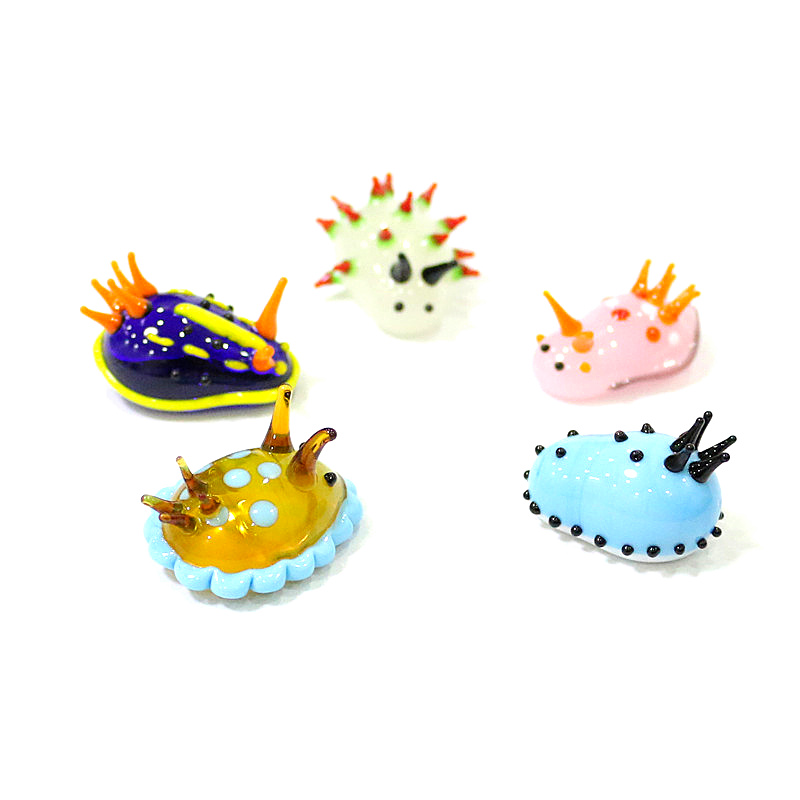 Rare Cute Mini Marine Molluscs – Marine Aquarium Japan recenzja i cena