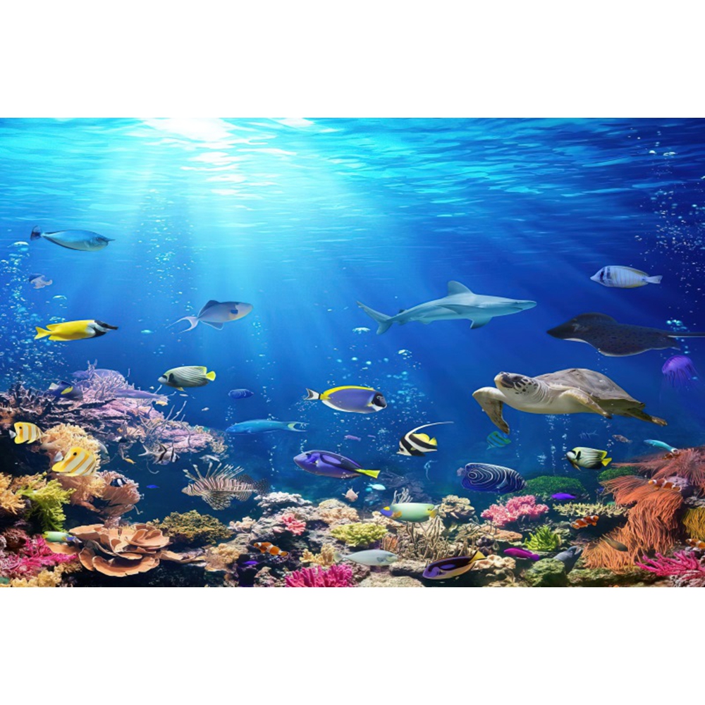 Under Sea Seabed World Backdro – Aquarium Marine World recenzja i cena