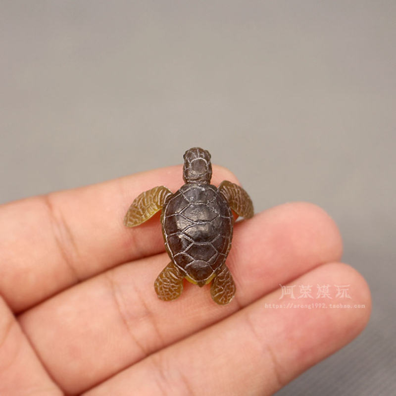 Marine Life Sea Turtle Model O – Marine Aquarium Japan recenzja i cena