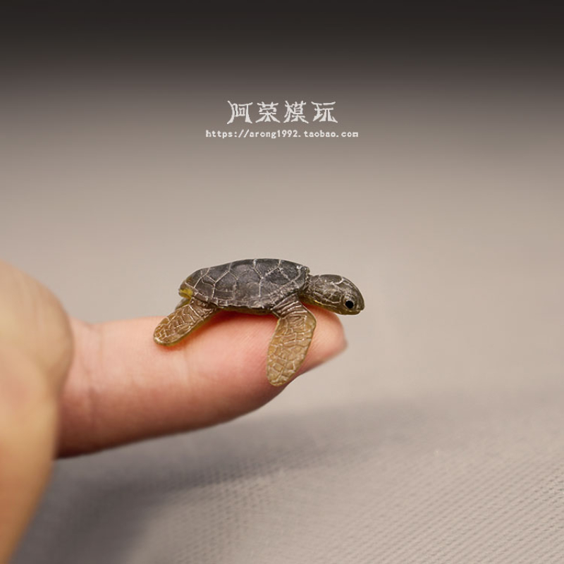 Marine Life Sea Turtle Model O – Marine Aquarium Japan recenzja i cena