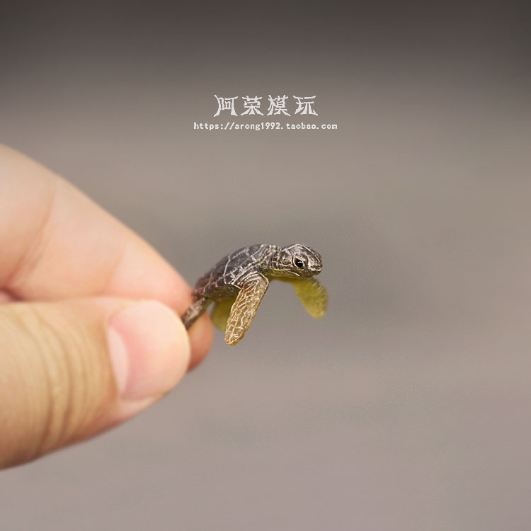 Marine Life Sea Turtle Model O – Marine Aquarium Japan recenzja i cena