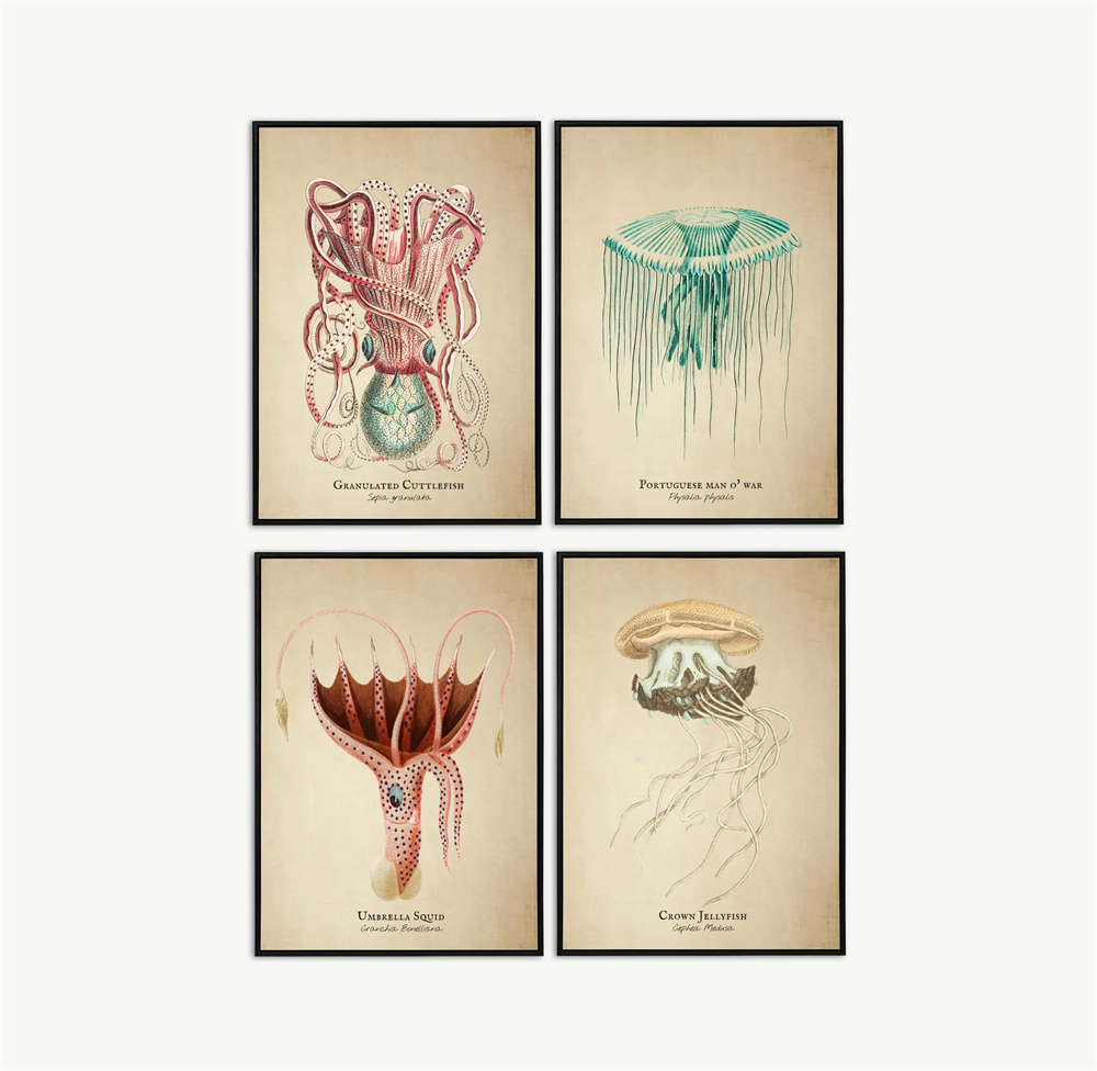 Vintage Pictures Tropical Fish – Marine Aquarium Home recenzja i cena