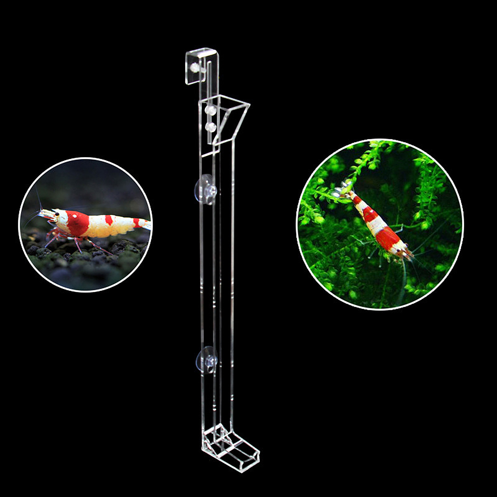 Acrylic Transparent Shrimp Fee – Marine Aquarium Youtube recenzja i cena