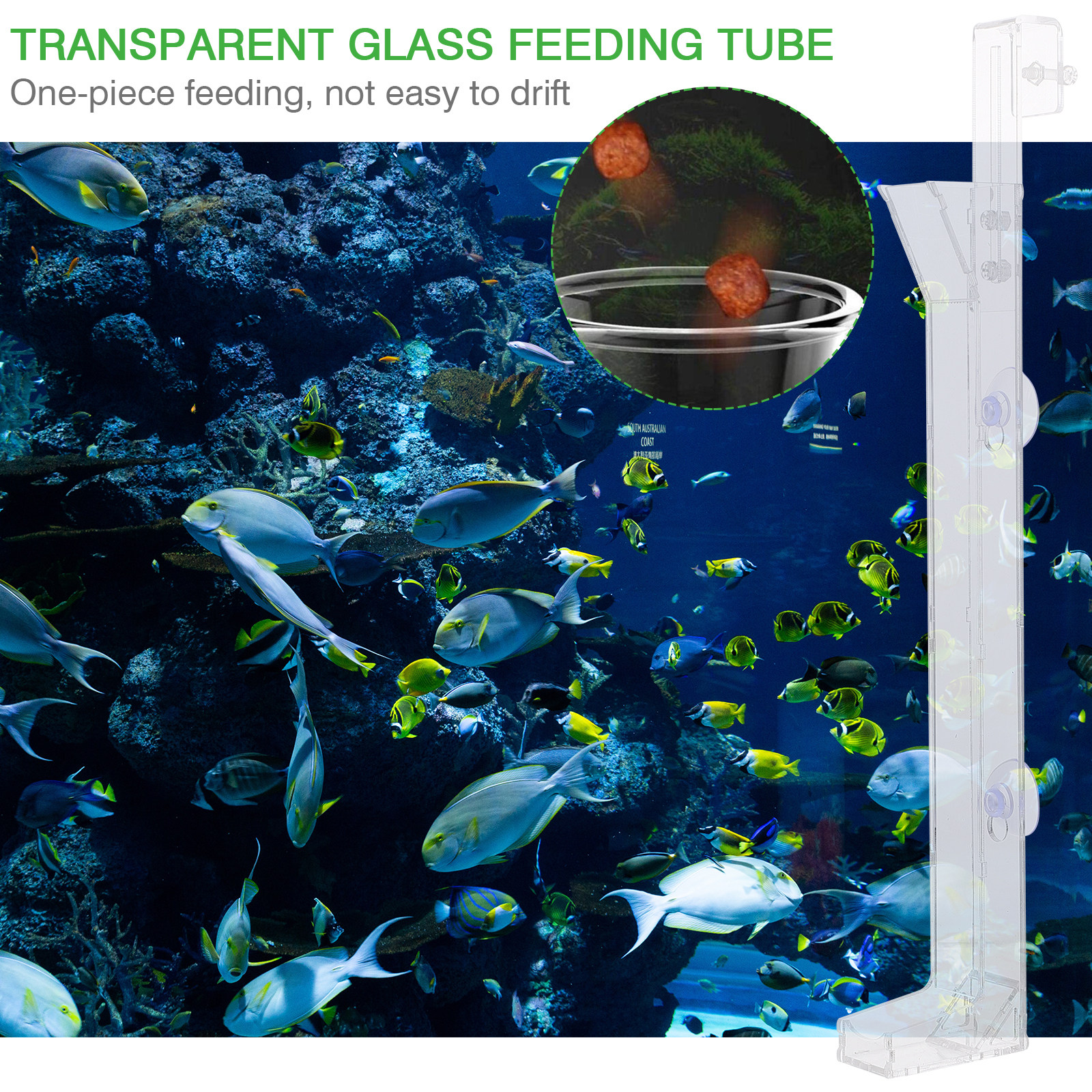 Acrylic Transparent Shrimp Fee – Marine Aquarium Youtube recenzja i cena
