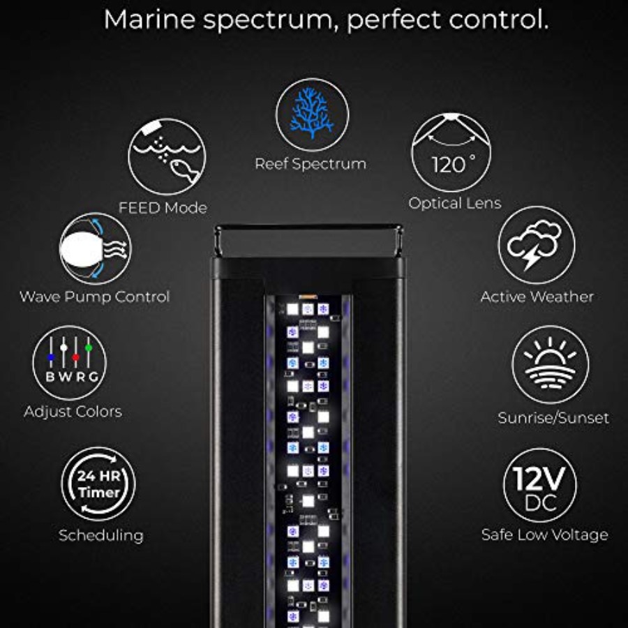 USA 48 - 60 Inch Orbit Marine  – Marine Aquarium Hours recenzja i cena