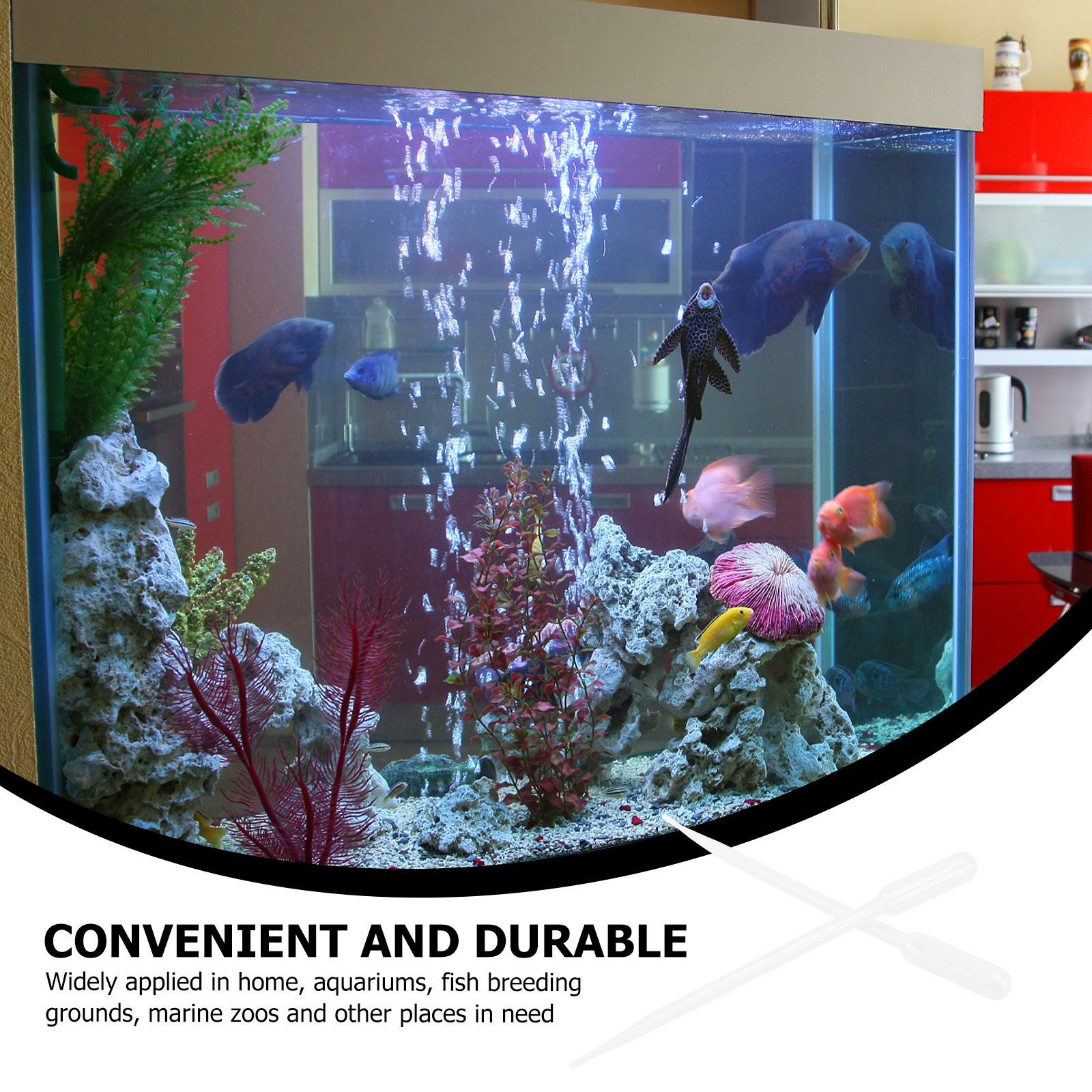 10Pcs Absorbent Feeders Plasti – Marine Aquarium Youtube recenzja i cena
