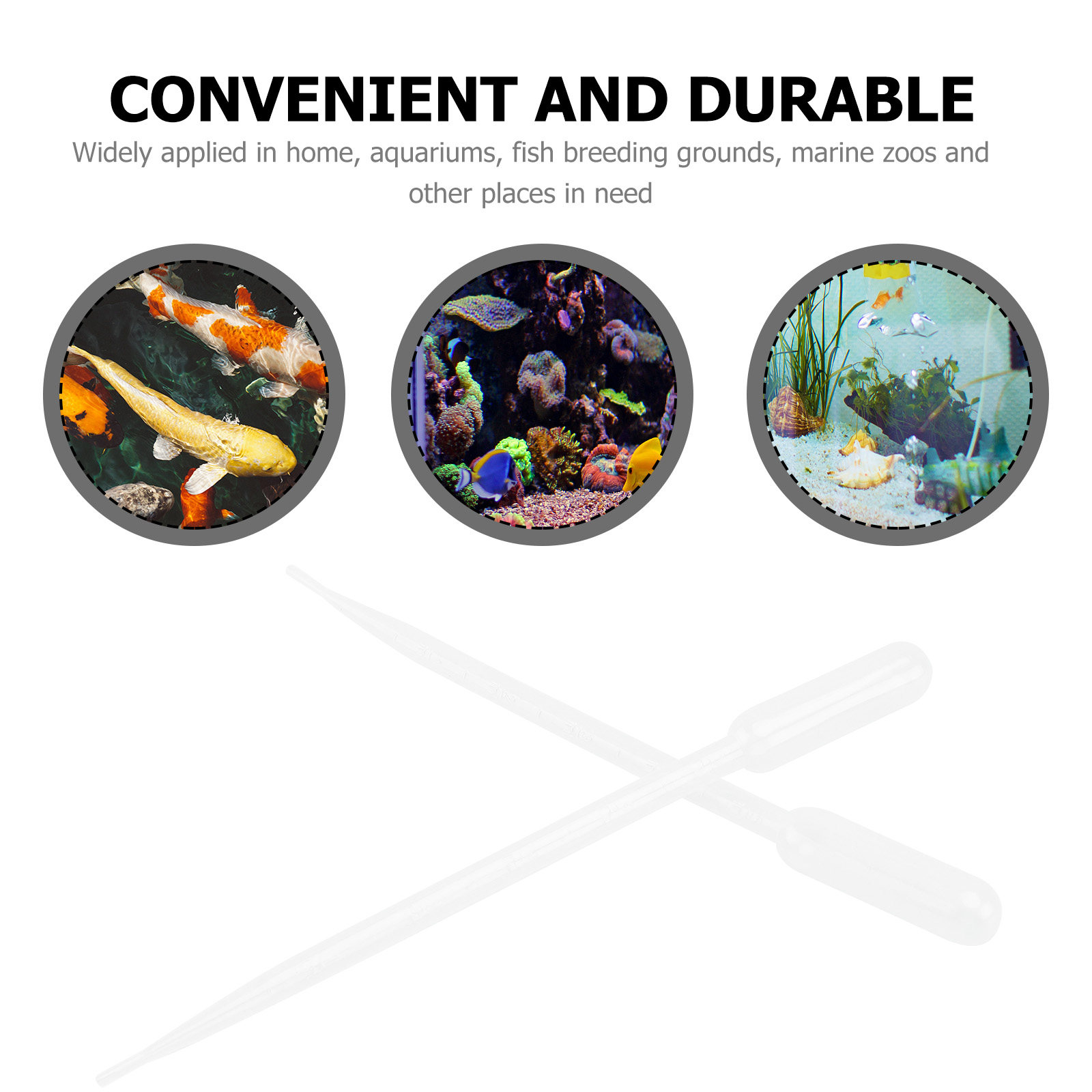 10Pcs Absorbent Feeders Plasti – Marine Aquarium Youtube recenzja i cena